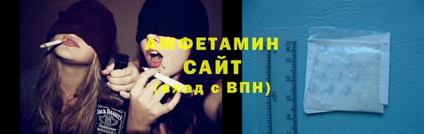стаф Алзамай