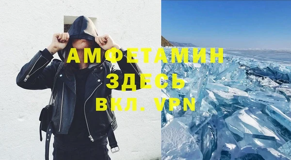 стаф Алзамай