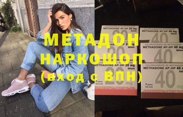 стаф Алзамай