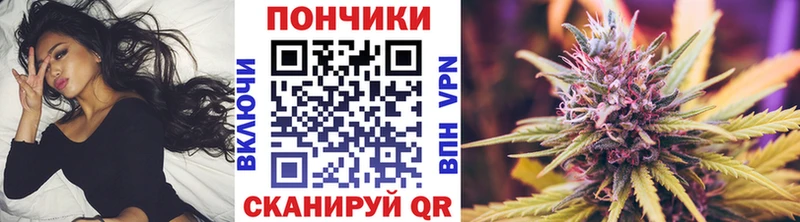 Бошки марихуана гибрид  купить наркоту  Звенигово 